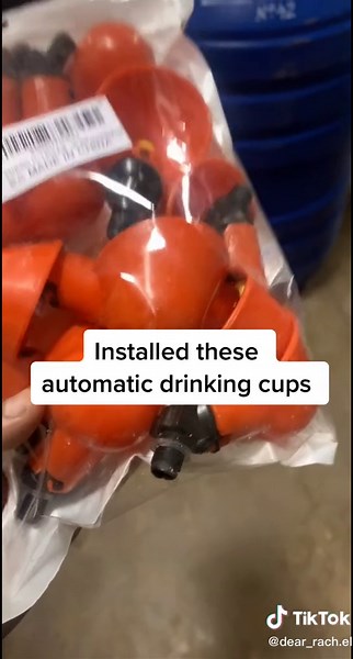 DIY Chicken Watering System for Easy Care | Female Farmer Innovation!