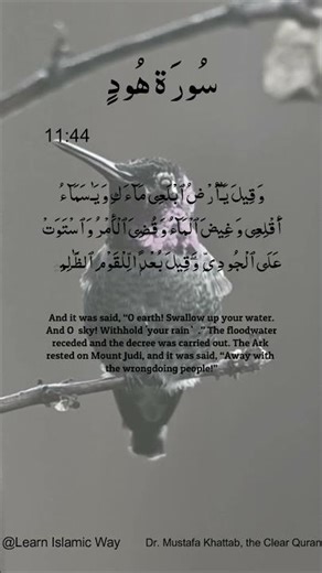 Surah Hud Ayat No 11 : 44 45 Arabic | سورۃ هُودٍ ‎| With English Translation #quran #allah #yt #yts