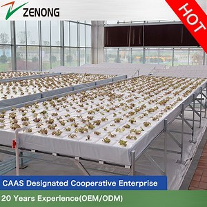 [Hot Item] Different Styles of Float Culture Nft Flat and Vertical Culture for Lettuce/Sugar Beet/Leafy Vegetables for Hydroponics