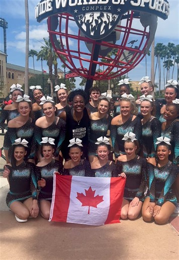 Cute Sharks in Action: Adorable Baby Shark Clips