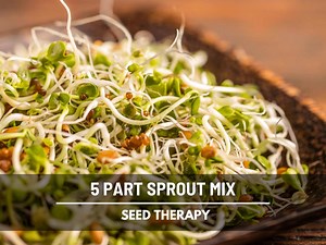5-part Mix Sprouting Seeds – Heirloom, Nutrient-dense, Easy to Grow (5 Varieties) - Etsy