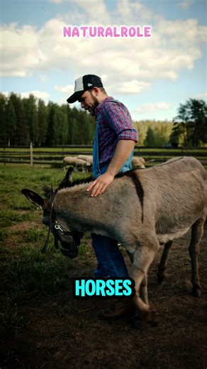 Interesting features of crows🫏🌿 #pets