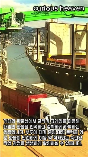 화물선 굴착기 크레인 하역 작업 현장 #worker #process #crane #cargo #harbor