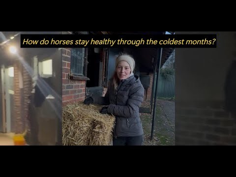 Winter Care at EqR: Keeping Horses Warm, Fed & Thriving