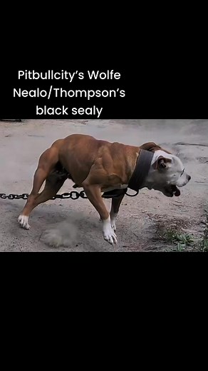 2.7K views · 86 reactions |...