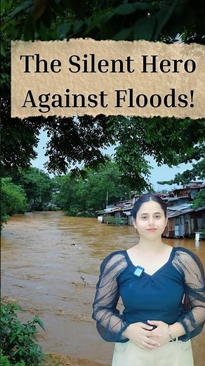 Flood Risk Mapping | Using GIS and Satellite Data #gis #geoportal #education #mapping