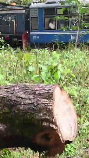 Toy Train Crossing Beautiful Mountain Roads 🌿🚂 #shorts #toytrain