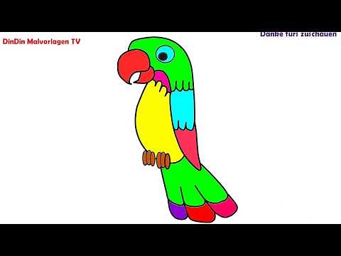 How to draw parrot with dindin - drawing and coloring for kids