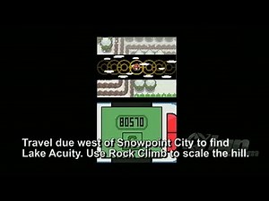 Pokemon Platinum Version Nintendo DS Guide-Walkthrough - Finding Rare Pokemon