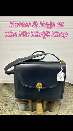 Purses for Pets! 🐾 Be a Bad Mamma Jamma with one of these fabulous bags now in store! We’ve got stunning styles — including an authentic vintage Gucci bag — and so much more! Every purchase helps support our community by funding local spay and neuter programs. Shop with style and make a difference! 💖 | The Fix Thrift Shop, Supporting Be The Solution, Inc.