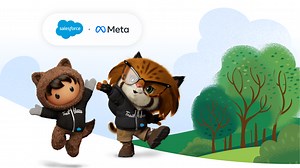 Unlocking the power of First-Party Data with Salesforce   Meta