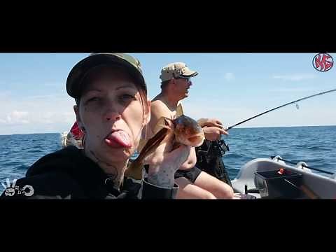 Angel Lied Rauf aufs Meer / Lehefx Angler Rap #angeln