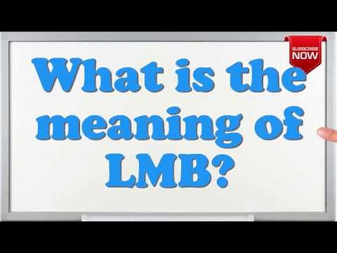 What is the full form of LMB?