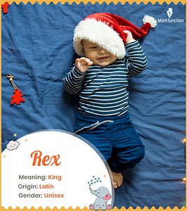 Rex: 2025 Guide To Name Meaning, History & Popularity