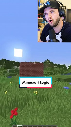 Exploring Minecraft Logic: Memes and More!