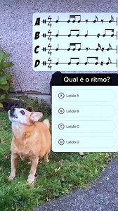 Como saber qual é o RITMO DA MÚSICA? | O RITMO E A PERCEPÇÃO MUSICAL#ritmo #music #shorts O Ritmo e a Percepção Musical...🎶🎶🎶 Deixe seu comentário abaixo sobre esse exercício rítmico de percepção musical!❤️👆🎵 #ritmo #Musica #music #musik #ritmomusical #percepçãomusical #Rhythm #Shorts #brazil Você já parou pra pensar que a vida tem ritmo? O coração bate num compasso. Os passos seguem uma batida. Até a sua fala tem uma cadência. A verdade é que o ritmo está em tudo — e quando você percebe is