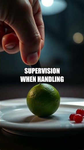 Magnetic Fruit Lab: Exploring Magnetism with Sayings of Citrus