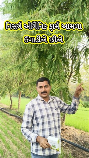 Why Amla Powder is a Winter Essential | Real Organic Product Review 🥤 How to Use 👉 Drink it in water for immunity 💆‍♀️ Use as hair mask for strong shiny hair 🧖‍♀️ Mix in face pack for glowing skin This winter, switch to Natural Care with Amla! 🌱 Buy directly from the farm: 🌐 Website: nisargorganicfarm.com 📞 91 9099715545 📧 nisargvavdi@gmail.com | Nisarg OrganicFarm