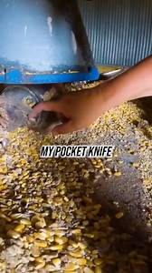 1.7K views · 69 reactions | This’ll Do Farm on Reels | Facebook