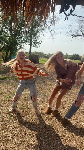Exploring the Corn Maze: A Fall Team Bonding Adventure