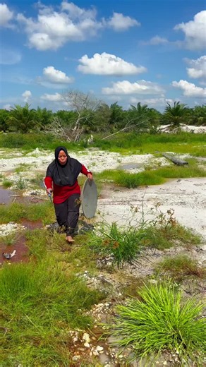 Gold Panning in River Walls: Finding Buried Gold