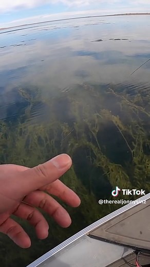 Sight Fishing for Walleye in Clear Water - Incredible Experience!
