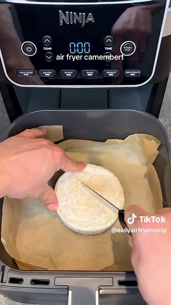 camembert cheese in the air fryer the easiest cheese appetizer #airfryerrecipe #cheese #easyrecipes #foodtok #camembertcheese