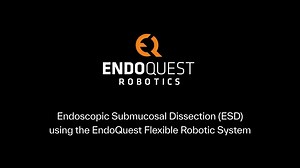 ESD Animation - October 2024