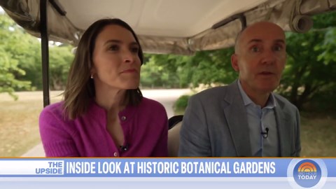 Get a Rare Look at London’s Royal Botanical Gardens