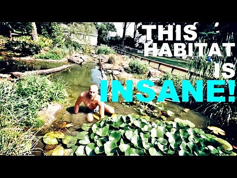 Amazing Outdoor Turtle Habitat in New Jersey!