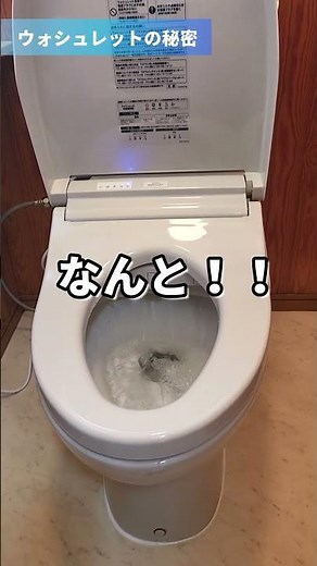 秘密を知ってしまったＴＯＴＯウォシュレットリモコン