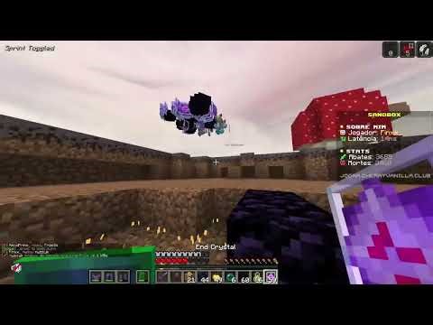 Best LT4 SA Minitage (cloud 9)