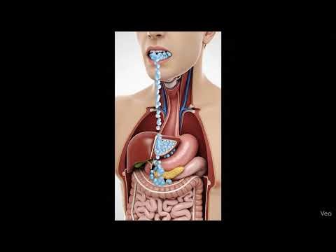 Silica Gel in Your Stomach | This Is What Happens
