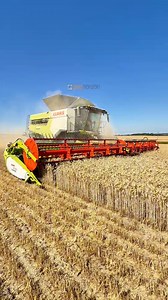 2.7M views · 21K reactions | Wheat harvest with the CLAAS 8800 lexion combine harvester | Pro Horizon Farming Content | Facebook