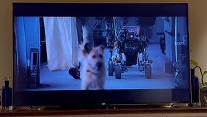 85 years after it was written, Louis Prima’s Sing Sing Sing plays on!! At about 28 minutes into the Tom Hanks movie “Finch” Good Musiv is Good Music! | Louis Prima Jr and the Witnesses