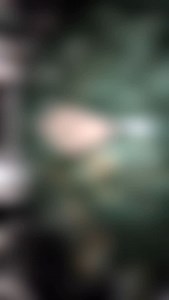 Playing this gorgeous drum set on our North American Tour with @septicflesh_band @officialtamadrums Starclassic Performer @meinlcymbals skins @remopercussion drum heads @czarciekopyto Pedals @promarksticks sticks @footblaster__ triggers @craft.ears IEMs #krimh #krimhdrummer #septicflesh #metaldrummer #tamadrums #meinlcymbals #craftears #czarciekopyto #teamremo #straclassic #promarksticks #footblaster_trigger #tama #blastbeats | KRIMH Drummer