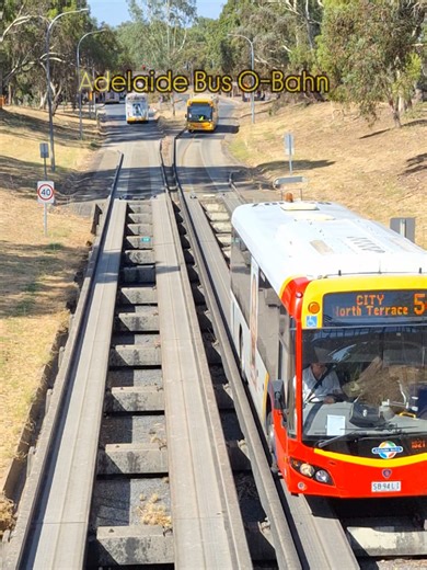 Exploring the Adelaide Bus O-Bahn: Australia’s Unique Transport System