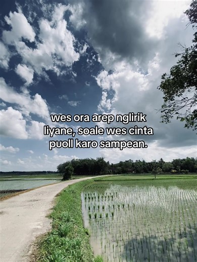 Lagu Percintaan: Sampeyan Nglirik Liyane