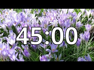 45 Minutes Timer with Music | Spring Timer