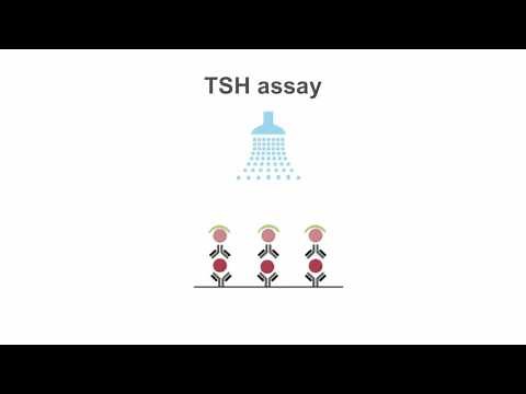 Mastering TSH assays