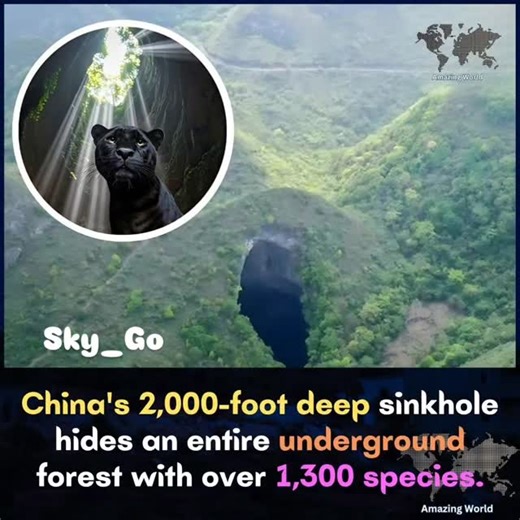 Sky_Go on Instagram: "In China, there is a remarkable sinkhole that is about 2,000 feet deep. This sinkhole is not just a big hole in the ground; it actually contains a hidden forest underneath. Scientists have discovered that this underground area is home to more than 1,300 different types of plant species. This makes it a truly special place filled with unique flora. The discovery of this underground forest is exciting because it gives us a glimpse into a unique ecosystem that we rarely see. M
