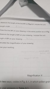 Calculate the magnification of your drawing.Length of XY on F... | Filo
