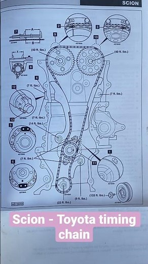 Toyota- scion timing chain
