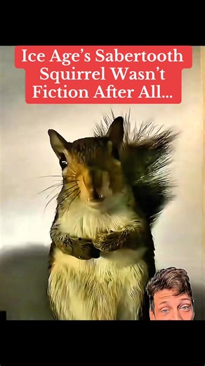 Ice Age’s #Sabertooth #Squirrel Wasn’t Fiction After All… #animals | Debate diggest