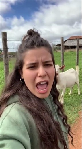 Era um vlog normal até isso acontecer perperdeu a paciência 😂 #funny #humor