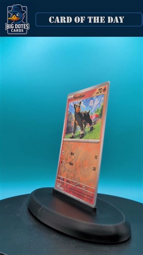 Houndour - #pokemon #pokemontcg #pokemoncards #bigdotescards