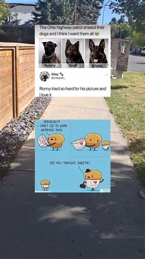 Don't check the sound 🤣 #funny #memes