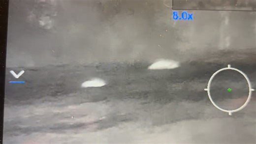 Black Creek Plantation of Alabama on Reels