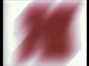 Opening To Sesame Street_ The Great Numbers Game(Mexican Spanish Copy) VHS(2002) (Sony Wonder Print)