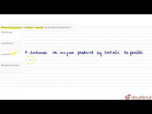 Bacterial resistance to antibiotic ampicillin can be due to presence of